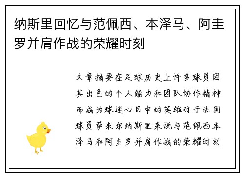 纳斯里回忆与范佩西、本泽马、阿圭罗并肩作战的荣耀时刻