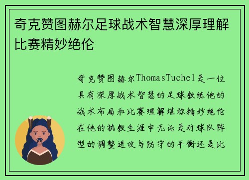 奇克赞图赫尔足球战术智慧深厚理解比赛精妙绝伦